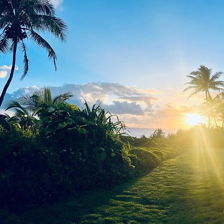 Ferienwohnung Wild Blue Water Pahoa Exterior foto