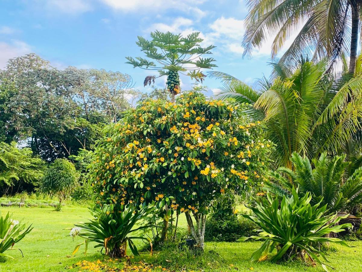 Ferienwohnung Wild Blue Water Pahoa Exterior foto