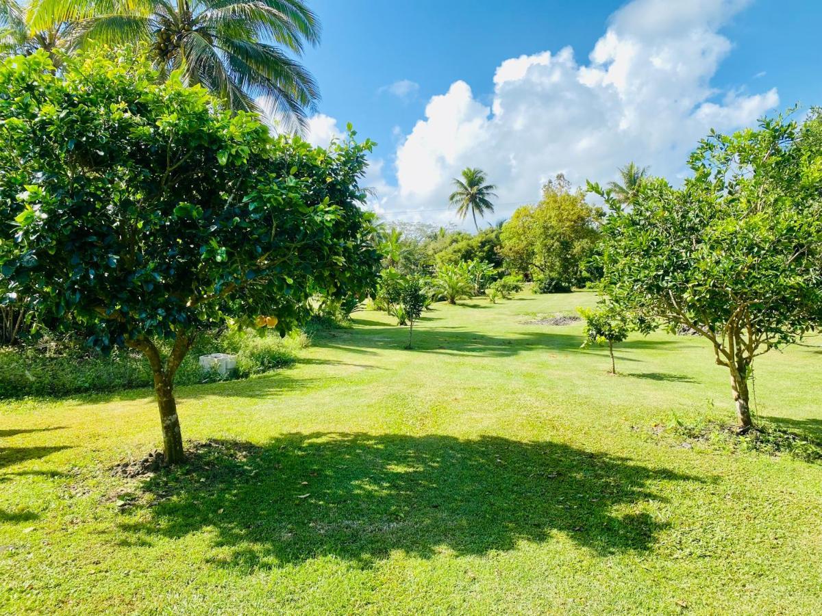 Ferienwohnung Wild Blue Water Pahoa Exterior foto