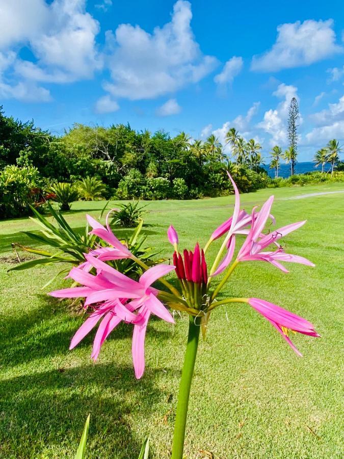 Ferienwohnung Wild Blue Water Pahoa Exterior foto