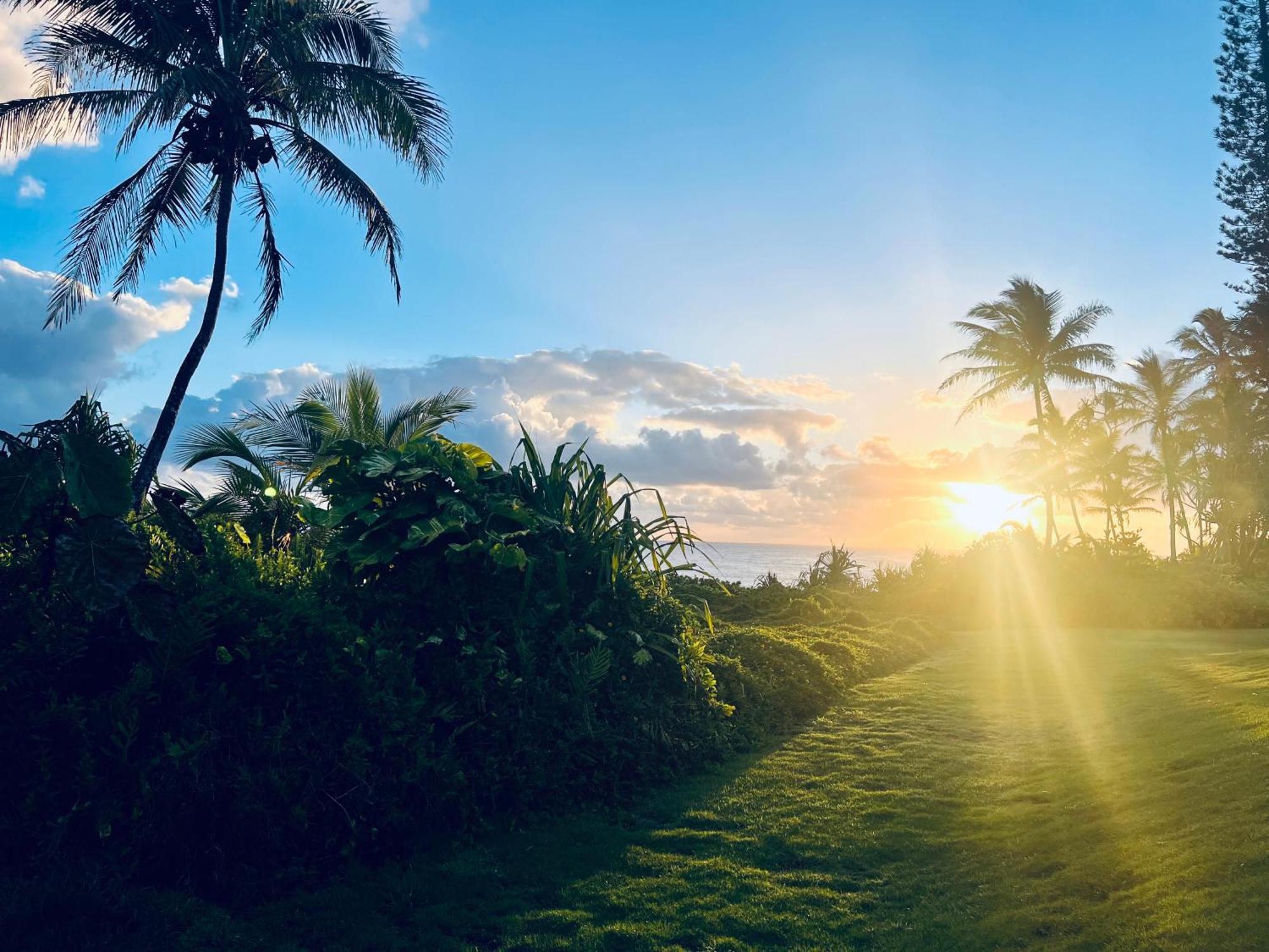 Ferienwohnung Wild Blue Water Pahoa Exterior foto